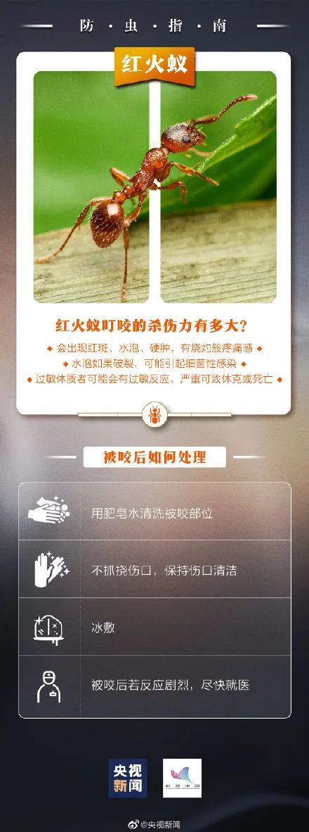 不要碰！有剧毒！浙江多地已出现