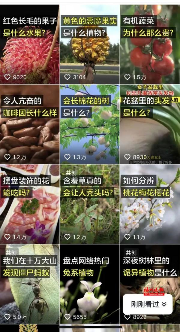 摸了这草会秃头?福州这名女生火了! 摸了这草会秃头?福州这名女生火了!