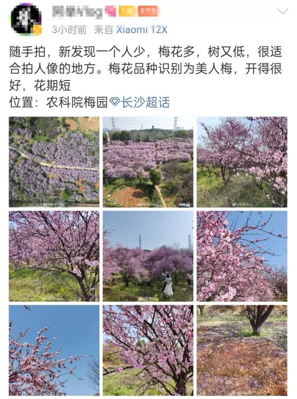 这个周末长沙又“爆”了！游客再出手，续写“长沙旅游攻略”