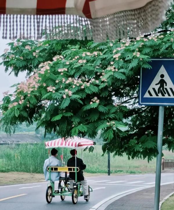 这个周末长沙又“爆”了！游客再出手，续写“长沙旅游攻略”