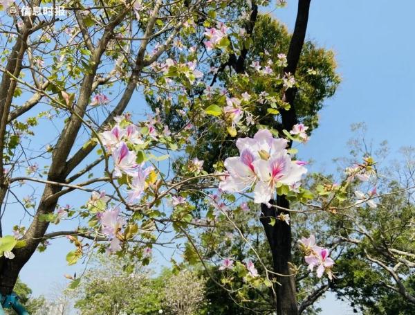 注意!广州本月将有4次冷空气过程 注意!广州本月将有4次冷空气过程