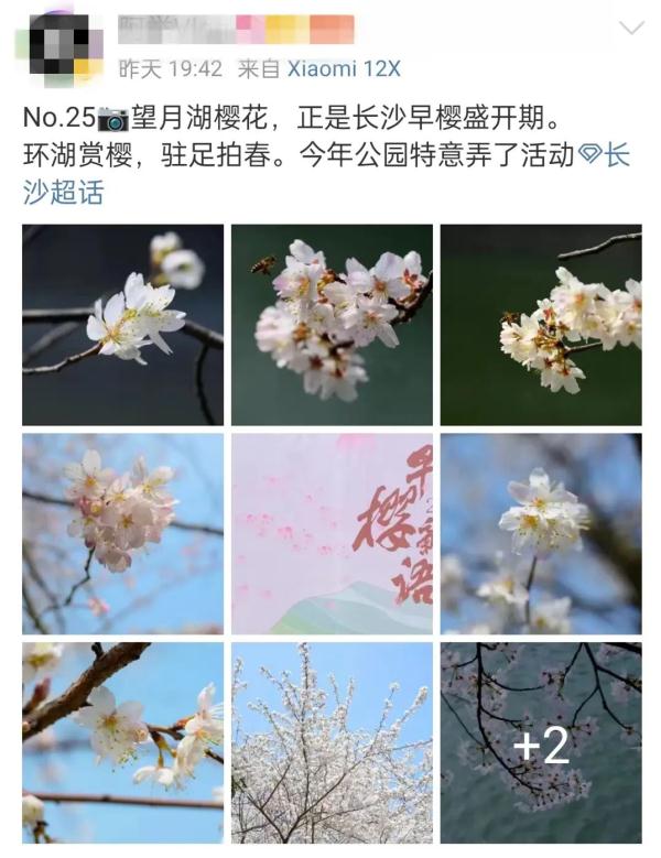 这个周末长沙又“爆”了！游客再出手，续写“长沙旅游攻略”