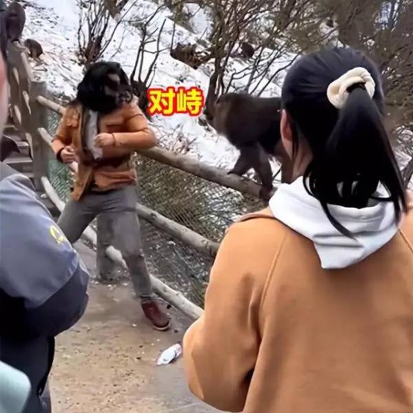 峨眉山的猴子和游客“互殴”？