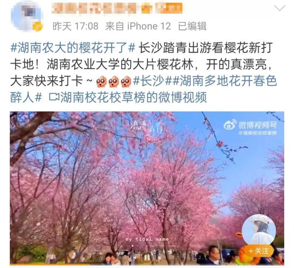 这个周末长沙又“爆”了！游客再出手，续写“长沙旅游攻略”