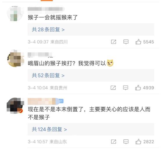 峨眉山的猴子和游客“互殴”？