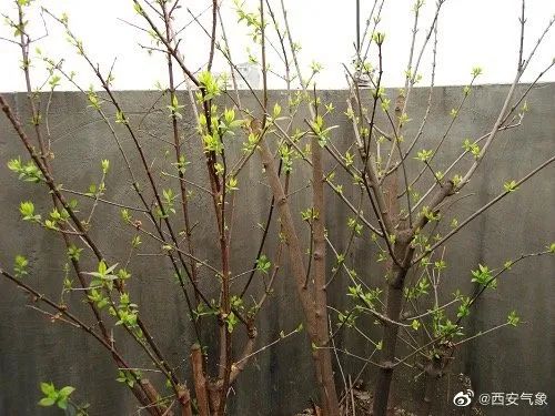 西安：这些人尽量减少外出！