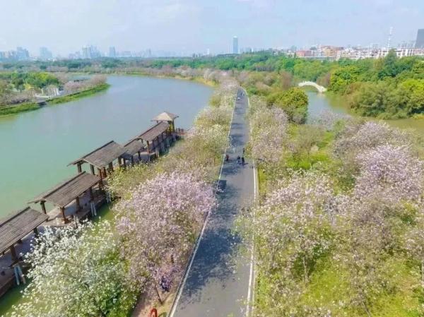 广州晴朗干燥天气持续，本月还将迎来3次冷空气
