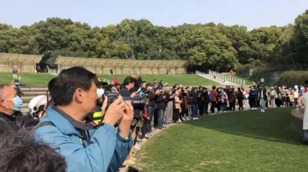 上海阿姨带了五套行头,停车场大排长龙,草坪扎满帐篷…一派大好春光 上海阿姨带了五套行头,停车场大排长龙,草坪扎满帐篷…一派大好春光