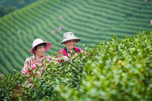 惊蛰！在江南“邂逅”万物生发