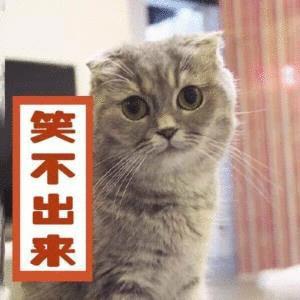 3月罕见暖热，或超30℃！@上海人，做好一周过四季的准备