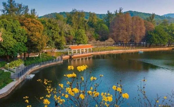 热得像夏天?广州还有3次冷空气在路上,最新天气情况→ 热得像夏天?广州还有3次冷空气在路上,最新天气情况→