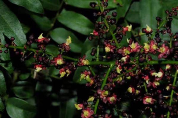 盘活高原上的野生动物园,和我也有关系吗? 盘活高原上的野生动物园,和我也有关系吗?