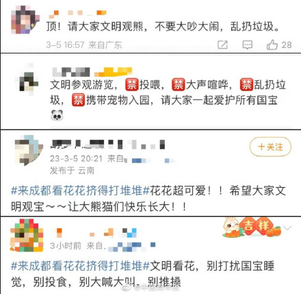 大熊猫花花突然成“网红”，有人为了它爬树！