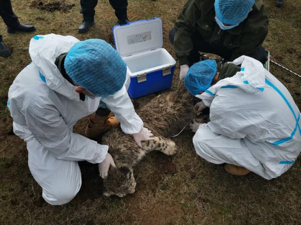 盘活高原上的野生动物园,和我也有关系吗? 盘活高原上的野生动物园,和我也有关系吗?