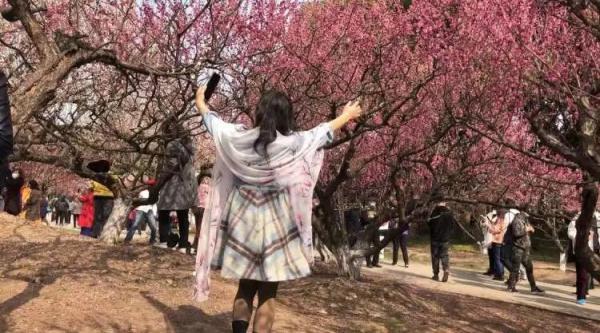 上海阿姨带了五套行头,停车场大排长龙,草坪扎满帐篷…一派大好春光 上海阿姨带了五套行头,停车场大排长龙,草坪扎满帐篷…一派大好春光