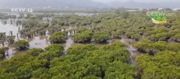 花开芬芳香满园 邂逅春日好风光