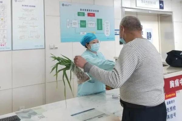 形似蒜苗,已有人中毒!你家花盆里可能有! 形似蒜苗,已有人中毒!你家花盆里可能有!