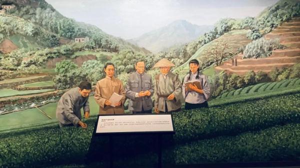 惊蛰！在江南“邂逅”万物生发