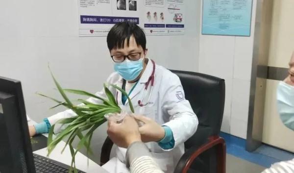 形似蒜苗,已有人中毒!你家花盆里可能有! 形似蒜苗,已有人中毒!你家花盆里可能有!