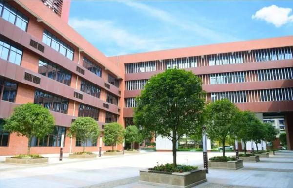 小学生在教室打闹受伤，学校的责任如何认定？法院判了！