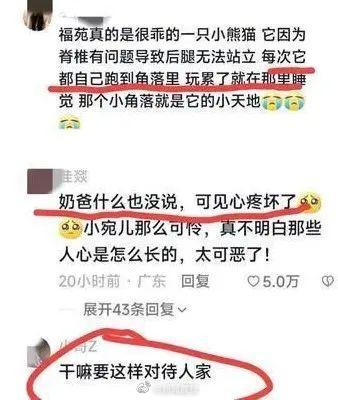 愤怒！熊猫福菀被游客泼水后委屈躲角落