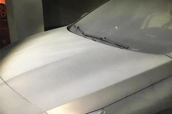 离谱！灭火器也能“砍”木头？