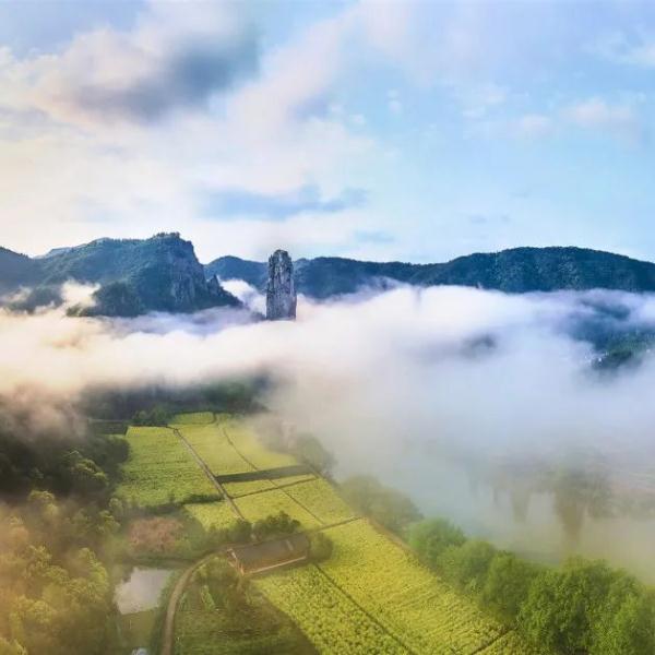 惊蛰！在江南“邂逅”万物生发