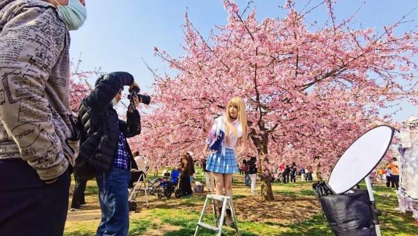 上海阿姨带了五套行头,停车场大排长龙,草坪扎满帐篷…一派大好春光 上海阿姨带了五套行头,停车场大排长龙,草坪扎满帐篷…一派大好春光