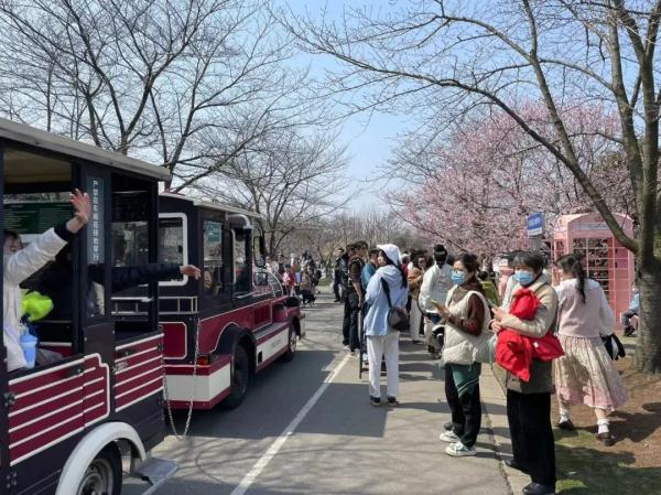 上海阿姨带了五套行头,停车场大排长龙,草坪扎满帐篷…一派大好春光 上海阿姨带了五套行头,停车场大排长龙,草坪扎满帐篷…一派大好春光