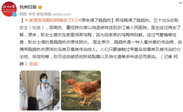 家里养鸡鸭的阿姨进了ICU，原来得了鹦鹉热