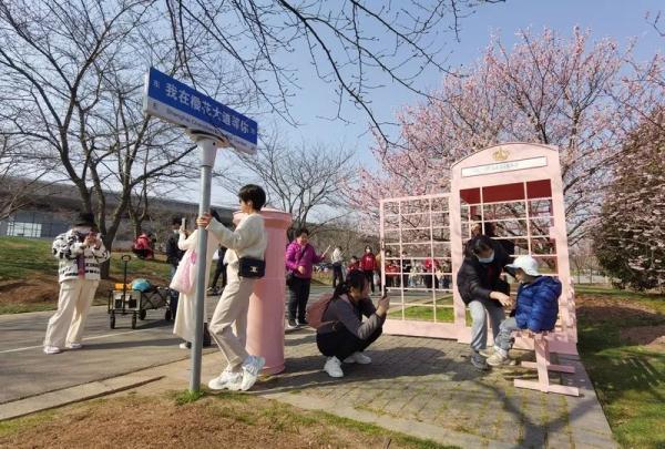 上海阿姨带了五套行头,停车场大排长龙,草坪扎满帐篷…一派大好春光 上海阿姨带了五套行头,停车场大排长龙,草坪扎满帐篷…一派大好春光