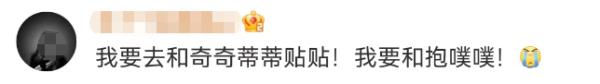 上海迪士尼官宣：恢复！网友：“女明星”要被薅秃，排队预警！