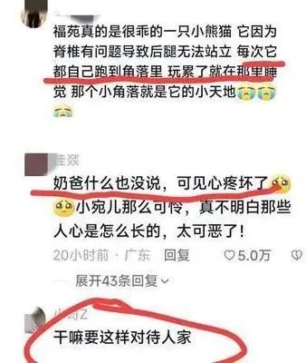 愤怒！大熊猫福菀被游客泼水后委屈躲角落