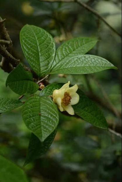 盘活高原上的野生动物园,和我也有关系吗? 盘活高原上的野生动物园,和我也有关系吗?