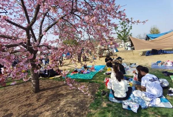 上海阿姨带了五套行头,停车场大排长龙,草坪扎满帐篷…一派大好春光 上海阿姨带了五套行头,停车场大排长龙,草坪扎满帐篷…一派大好春光