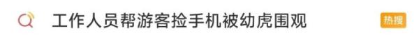 好笑又害怕!帮游客捡手机被一排老虎围观 好笑又害怕!帮游客捡手机被一排老虎围观