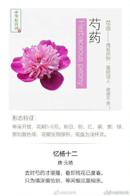 原来可以这样留住春天