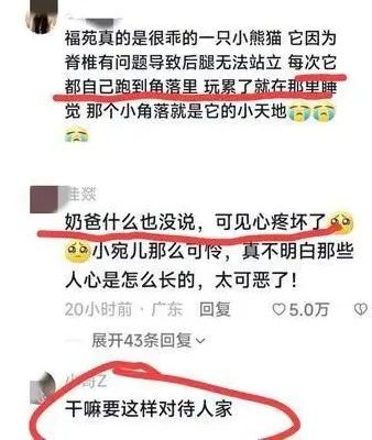 网友怒了!知道真相后更心疼...... 网友怒了!知道真相后更心疼......