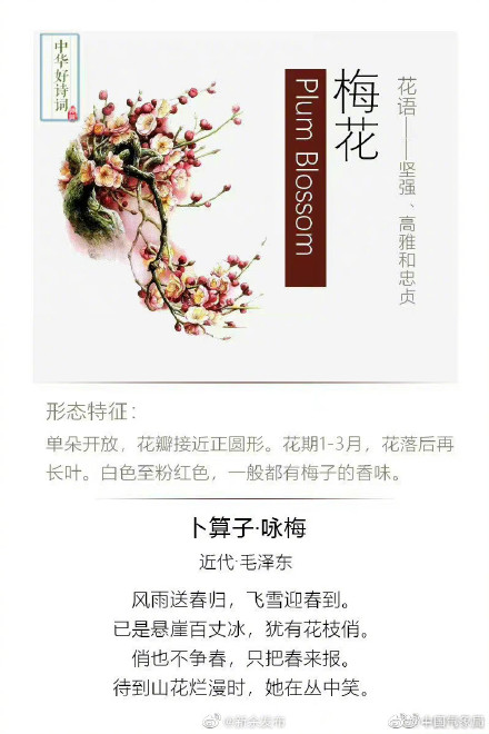 原来可以这样留住春天