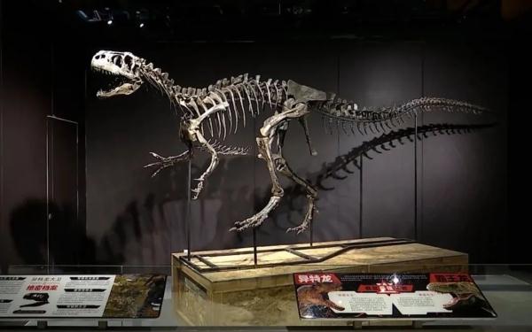 全国首例！广州古生物学家为1.5亿岁恐龙问诊