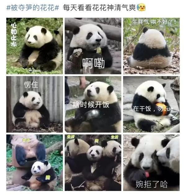 网友怒了!知道真相后更心疼...... 网友怒了!知道真相后更心疼......