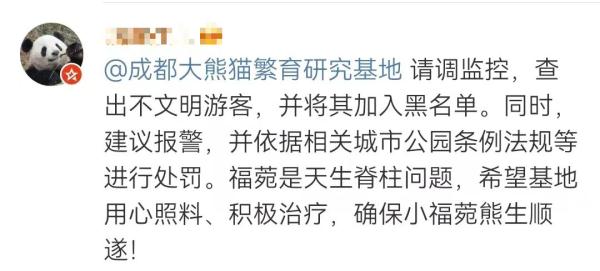 网友怒了!知道真相后更心疼...... 网友怒了!知道真相后更心疼......