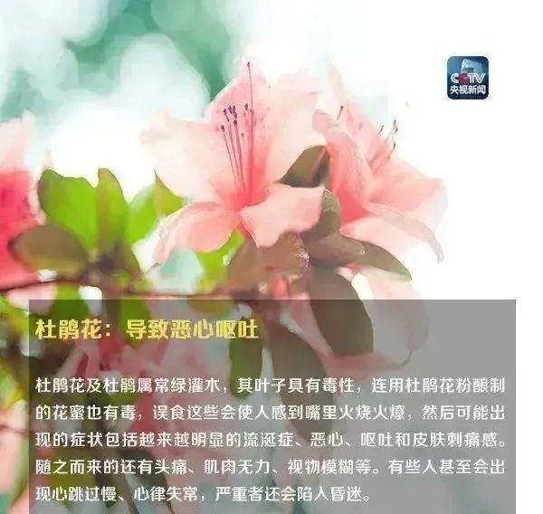 形似蒜苗，浙江男子突发中毒！医生提醒