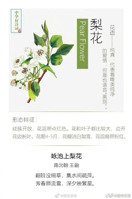 原来可以这样留住春天