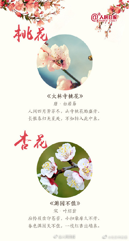 跟着18首古诗去赏花 跟着18首古诗去赏花