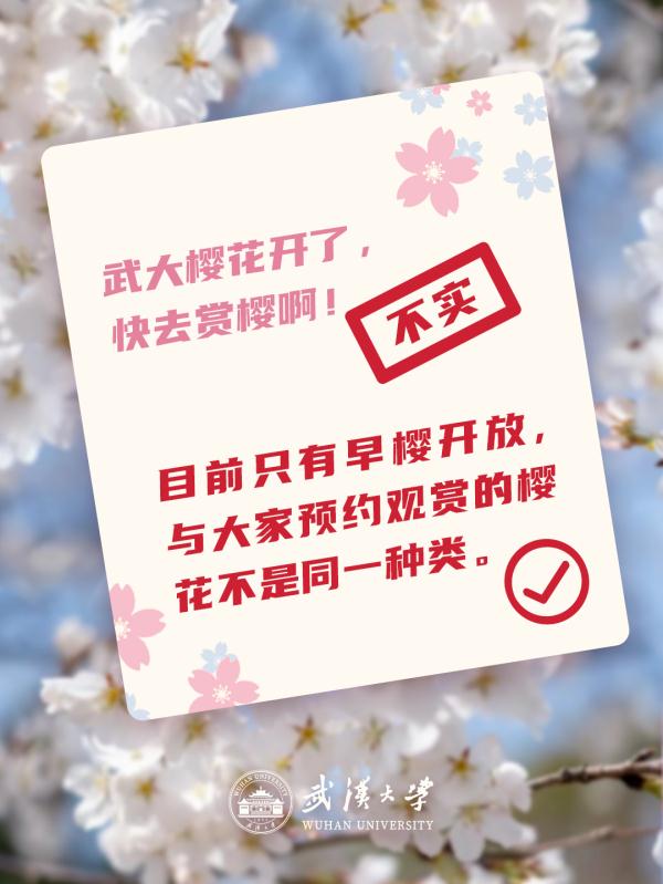 樱花已开？黄牛带你进校？武汉大学辟谣