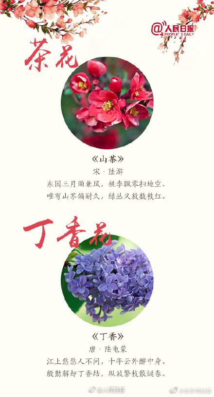跟着18首古诗去赏花 跟着18首古诗去赏花