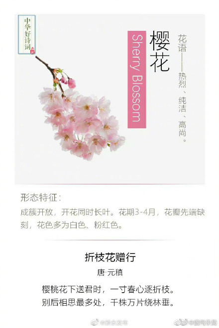 原来可以这样留住春天