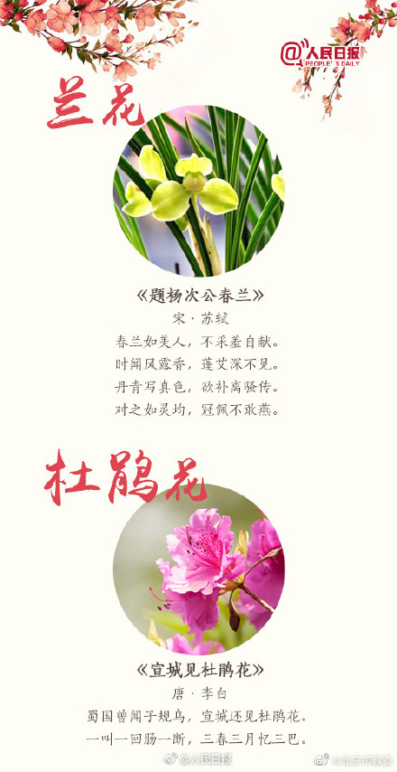 跟着18首古诗去赏花 跟着18首古诗去赏花