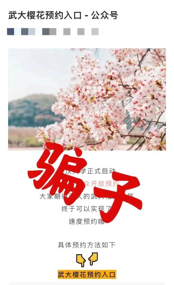 樱花已开？黄牛带你进校？武汉大学辟谣